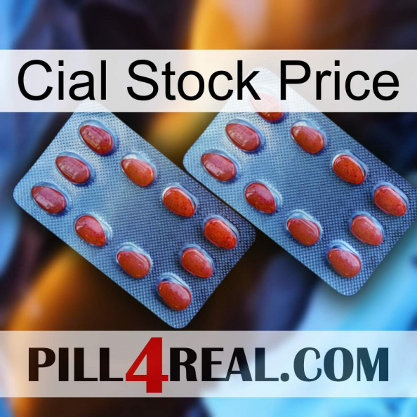 Cial Stock Price 05.jpg